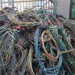 河北電纜回收